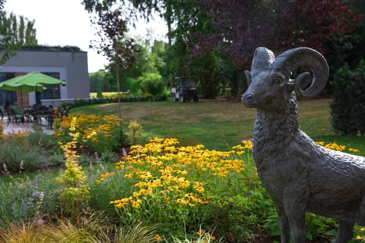 Castlemartyr Resort Hotel Exteriör bild The Bighorn Sheep statue at the entrance of the Bighorn Sheep Provincial Park